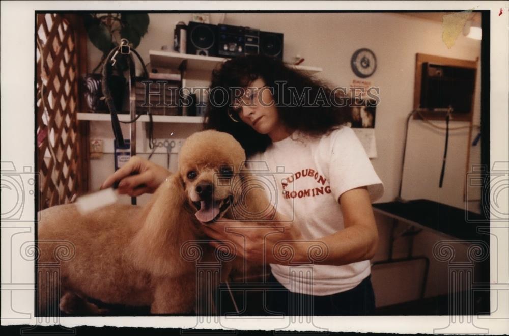 1993 Press Photo Audubon All Breed Grooming Dee Eisenman and Dog Princ Historic Images