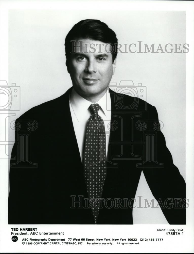 1996 Press Photo Ted Harbert President ABC Entertainment - spp00229 - Historic Images