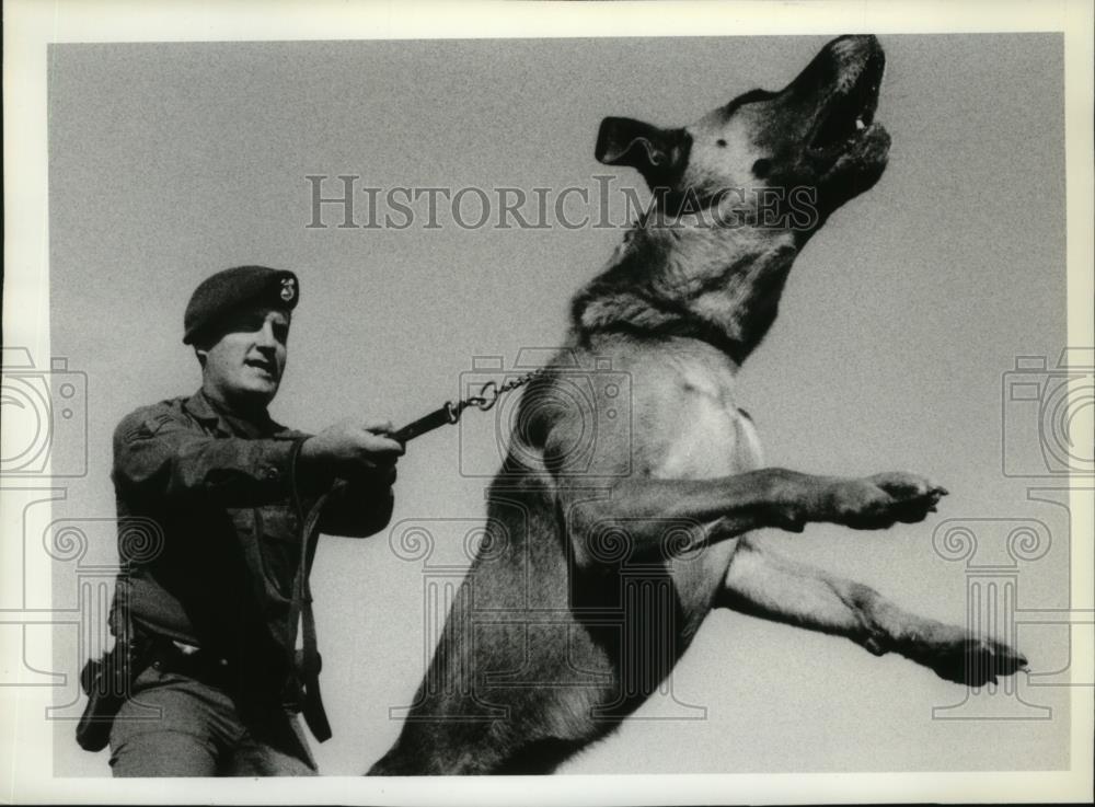 1982 Press Photo Animals Sentry Dog - spa25242 - Historic Images