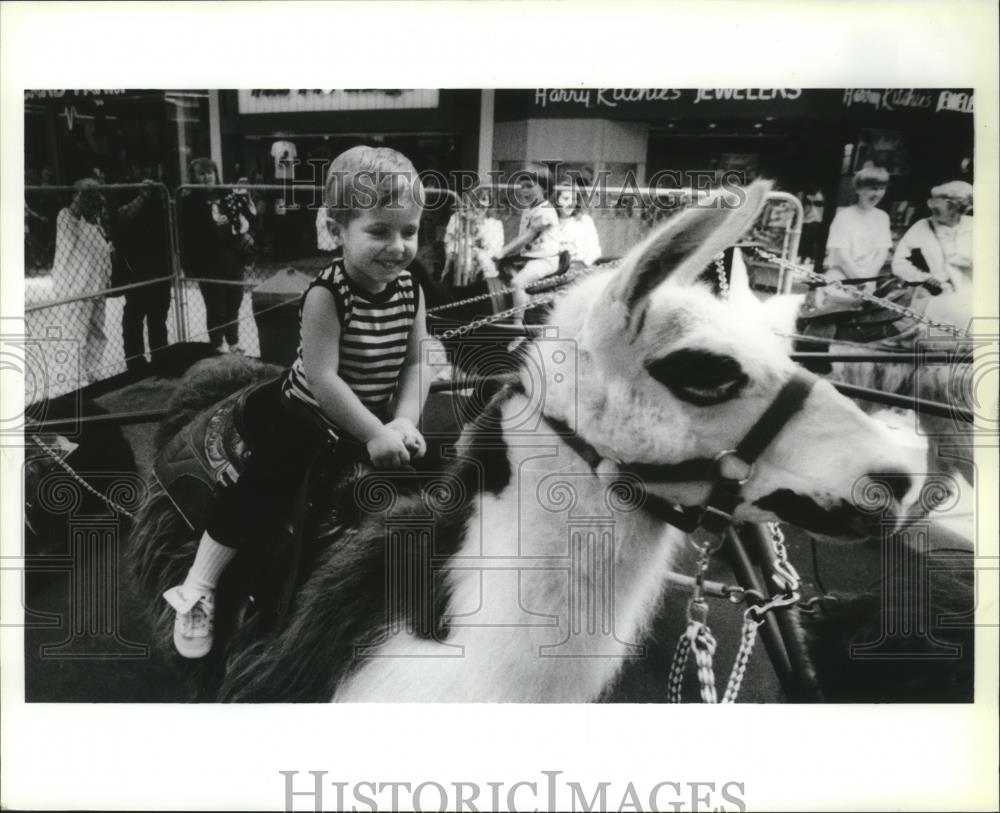 1990 Press Photo Steven Bergland Riding a Llama at Silver Lake Mall - spa28704 - Historic Images