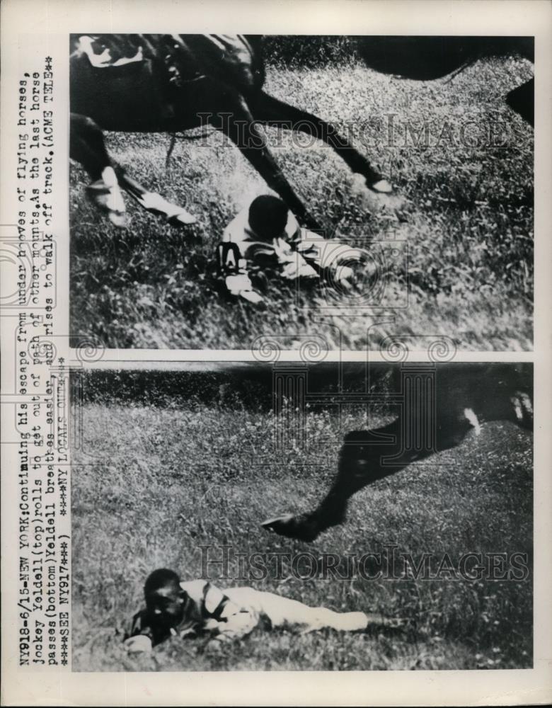 1949 Press Photo Jockey Yeldell thrown from horse at Steeplechase at Aqueduct NY - Historic Images