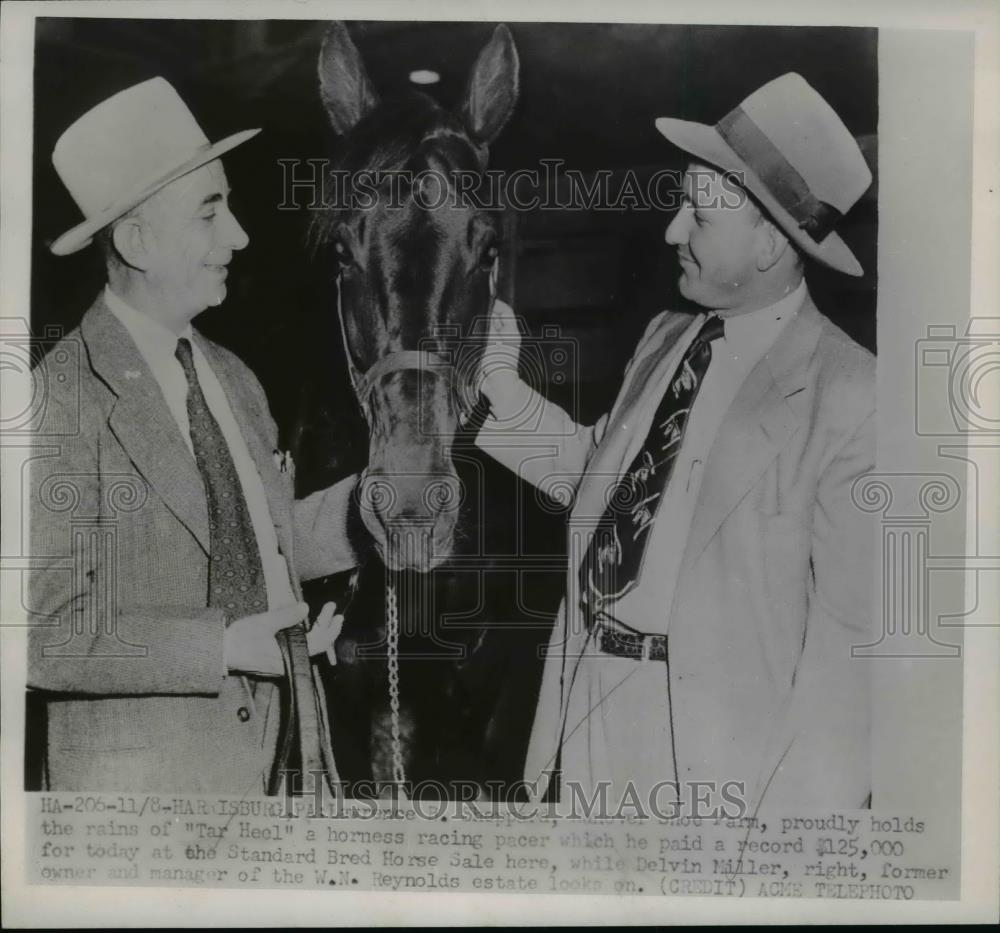 1951 Press Photo Maurice Shapperd &amp; horse Tar Heel with Delvin Miller in PA - Historic Images