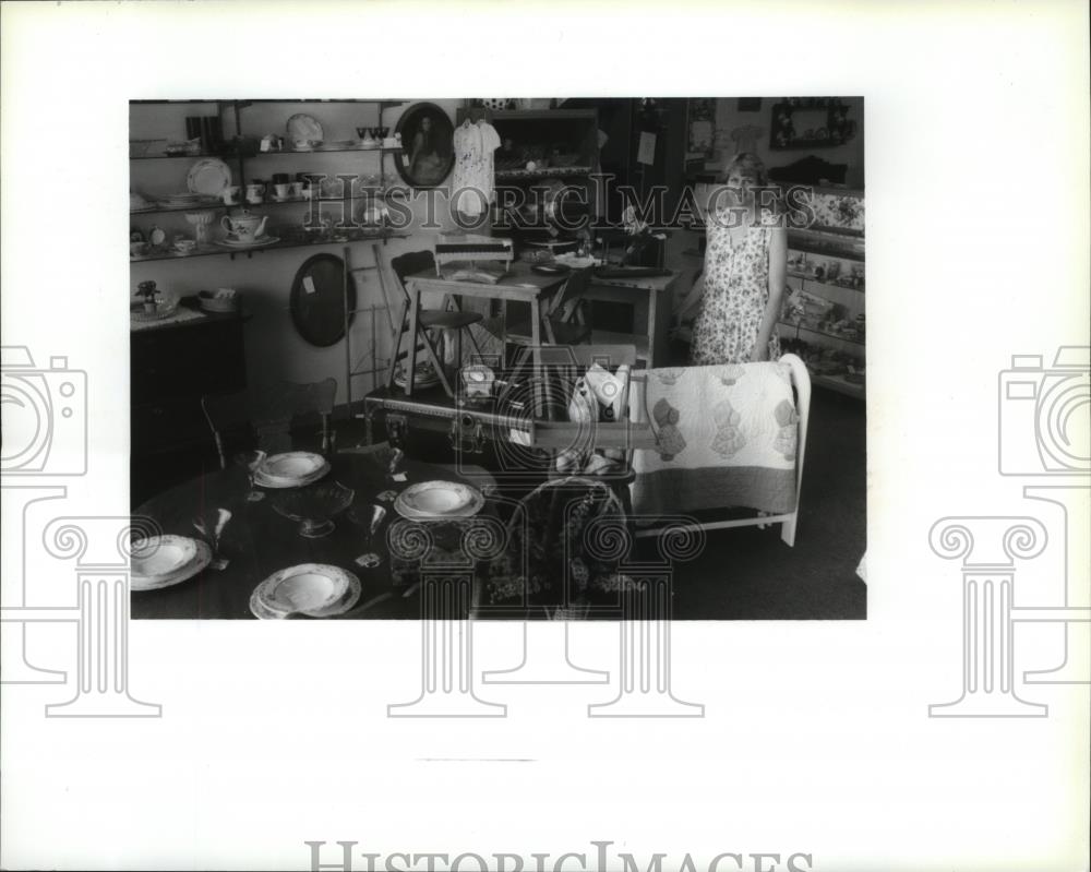 1994 Press Photo Lisa RichartLindsey at the Vintage Rabbit Antique Ma