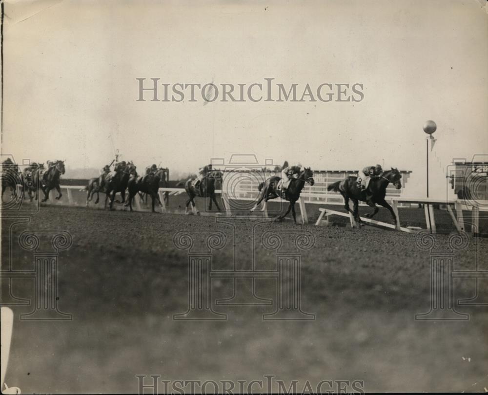 1928 Press Photo Finish of WD Handicap race won by Justice F - net18623 - Historic Images