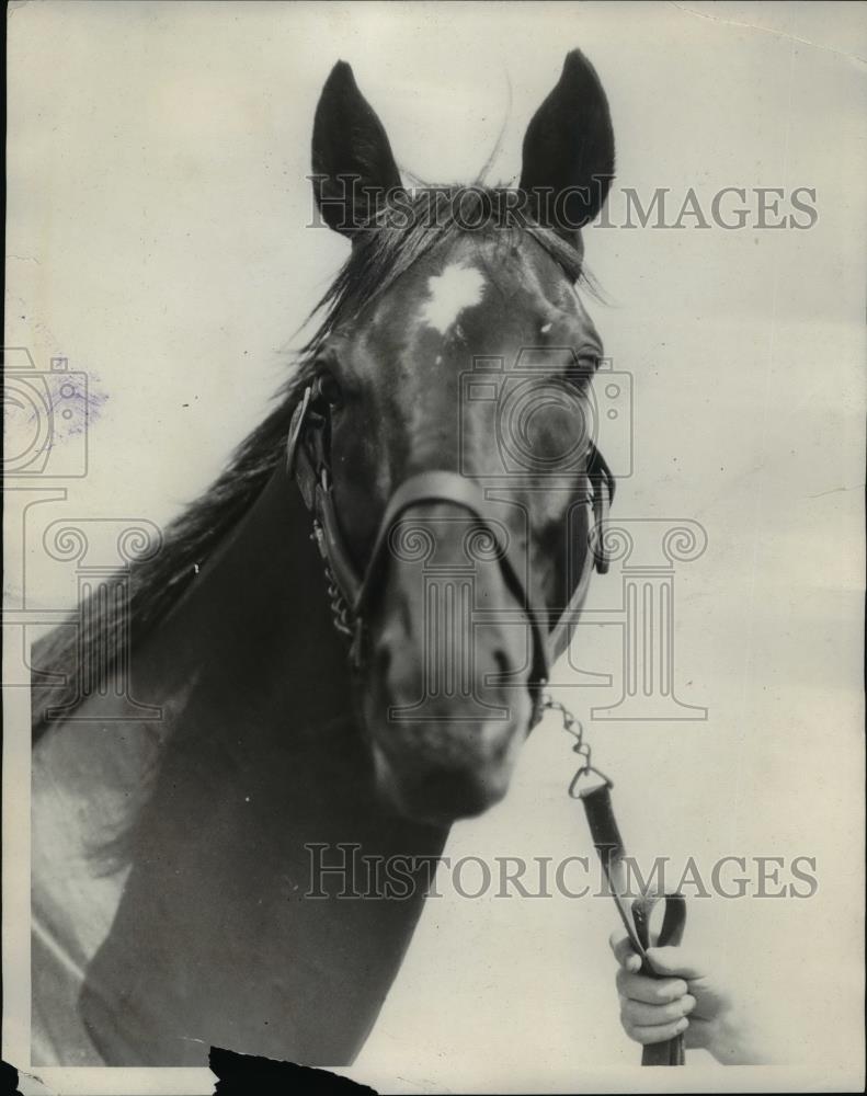 1930 Press Photo trotter horse Billy K - net19087 - Historic Images