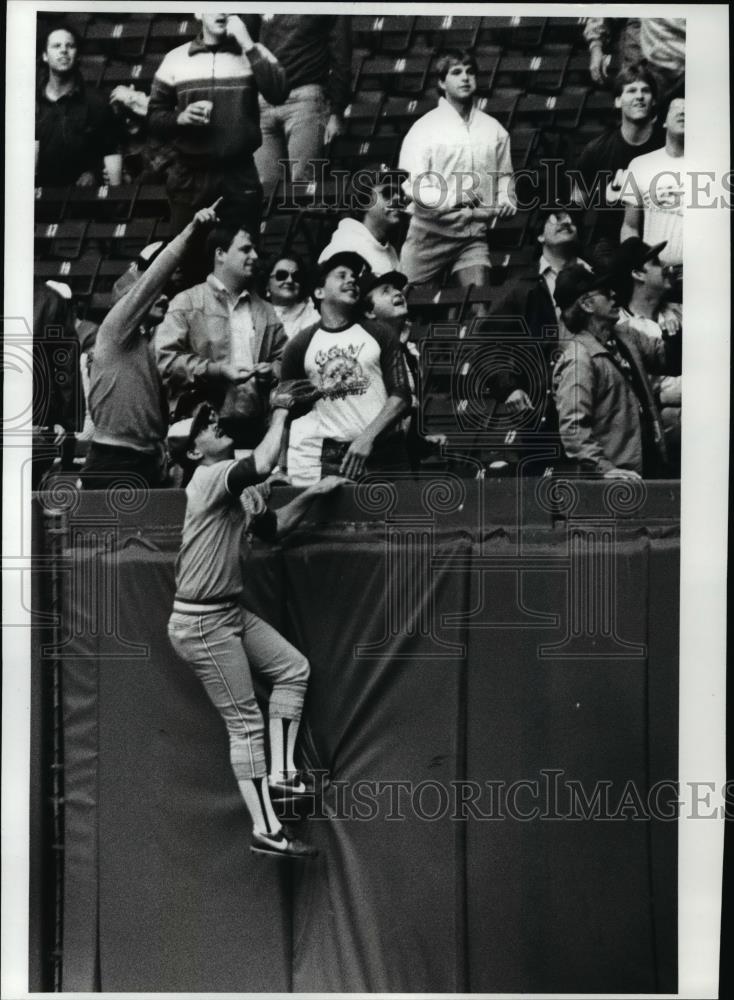 1986 Press Photo Rick Leach watches from atop the fence - cvb58284 - Historic Images