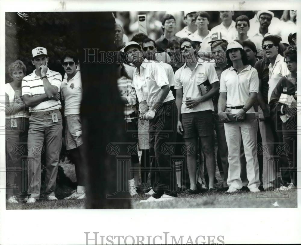 1987 Press Photo Davis Love III checks a tree in his line during his 4th shot - Historic Images