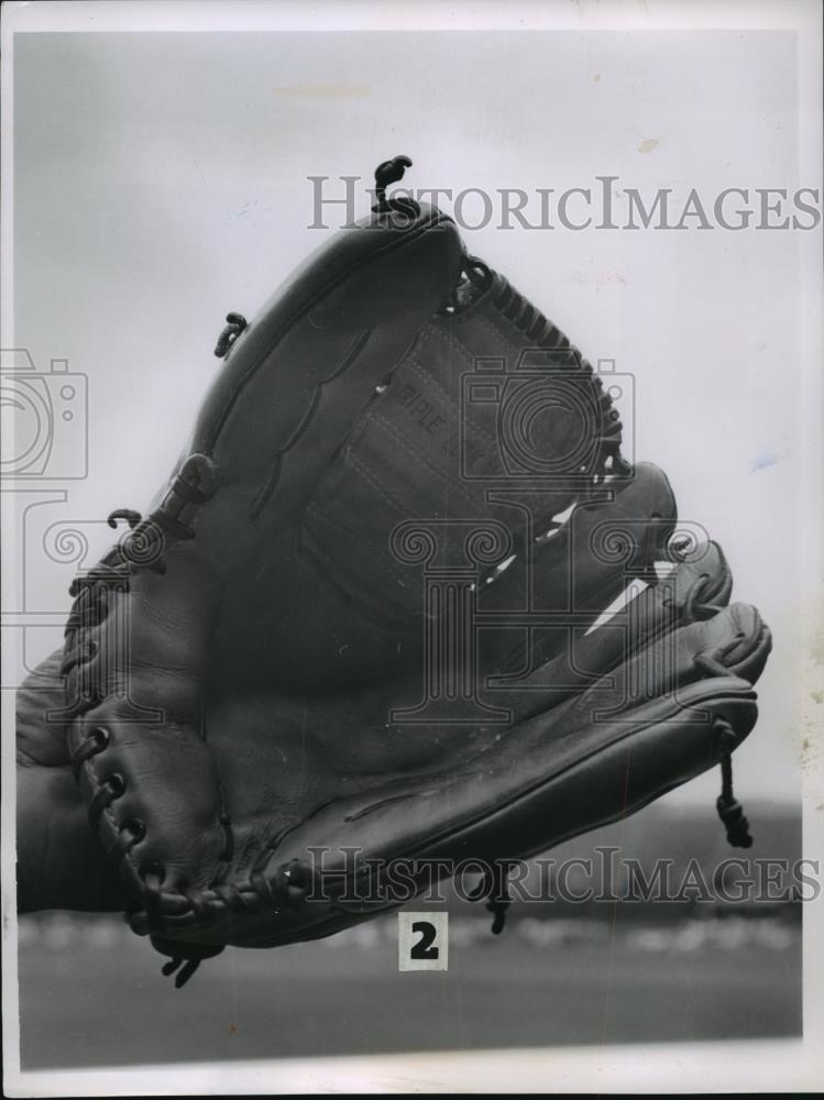 1963 Press Photo Tabby&#39;s Glove - cvb72824 - Historic Images