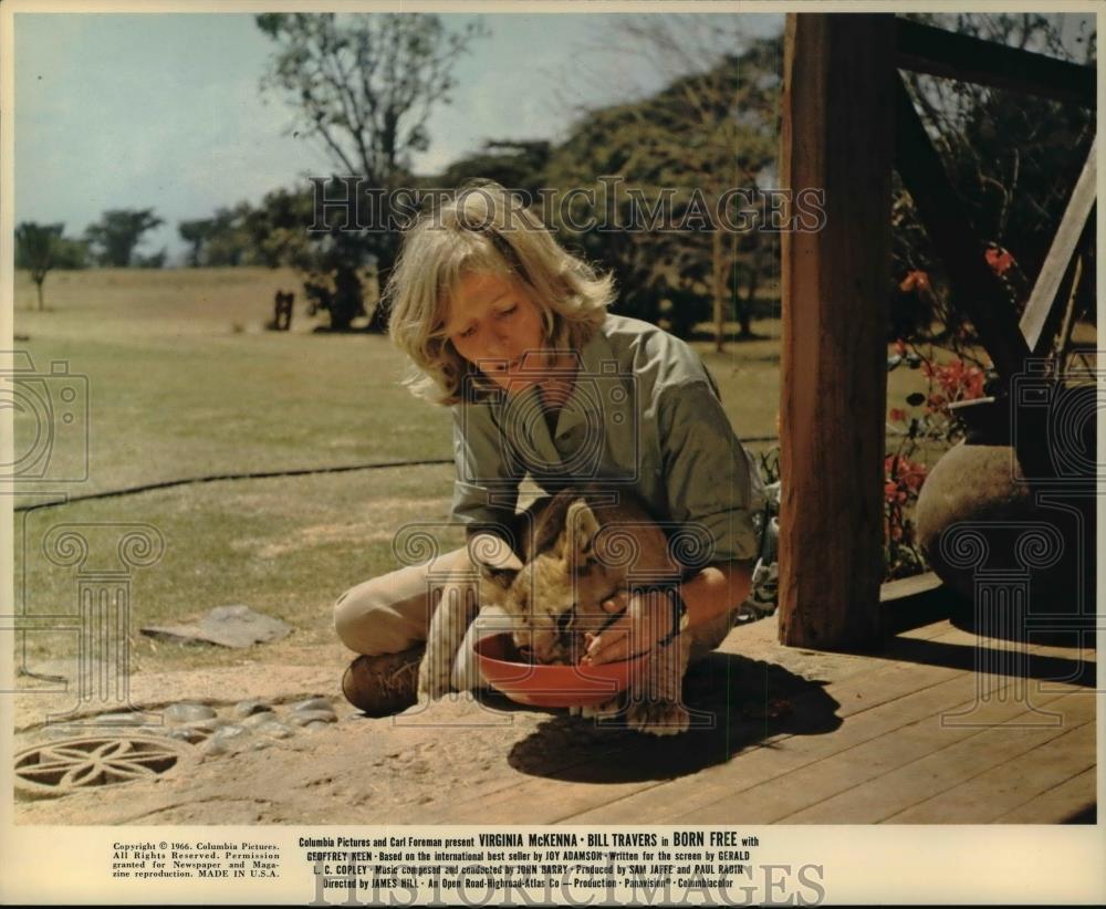 1966 Press Photo Born Free movie scene - cvp99060 - Historic Images