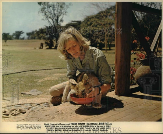 1966 Press Photo Born Free movie scene - cvp99060 - Historic Images