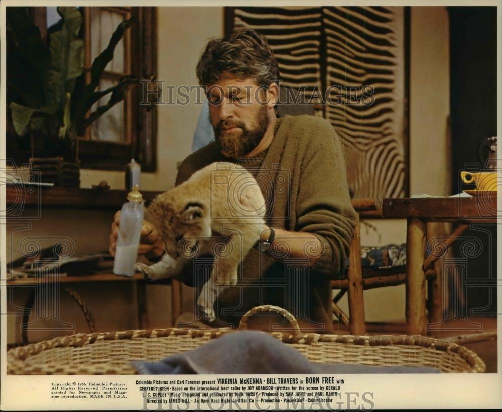 1966 Press Photo Born Free movie scene - cvp99062 - Historic Images