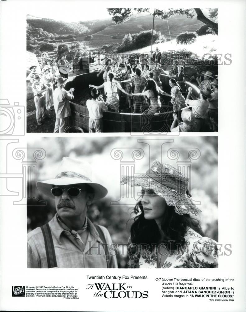 Press Photo A Walk In The Clouds-Giancarlo Giannini and Aita Sanchez Gijom - Historic Images