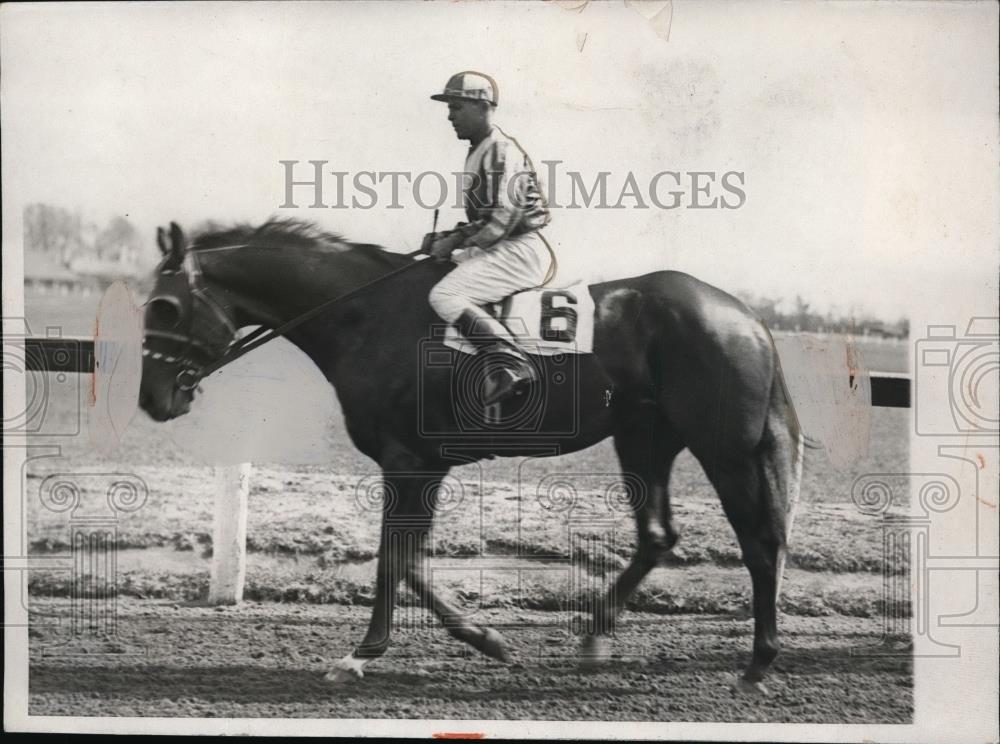 1932 Press Photo Brandon Mint, a candidate for Kentucky Derby, at Jamaica, NY - Historic Images