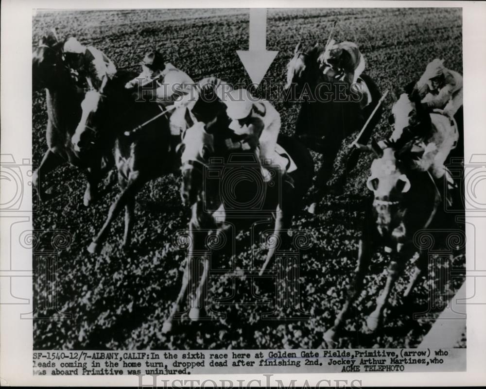 1952 Press Photo Primitive drops dead after sixth race at Golden Gate Fields - Historic Images