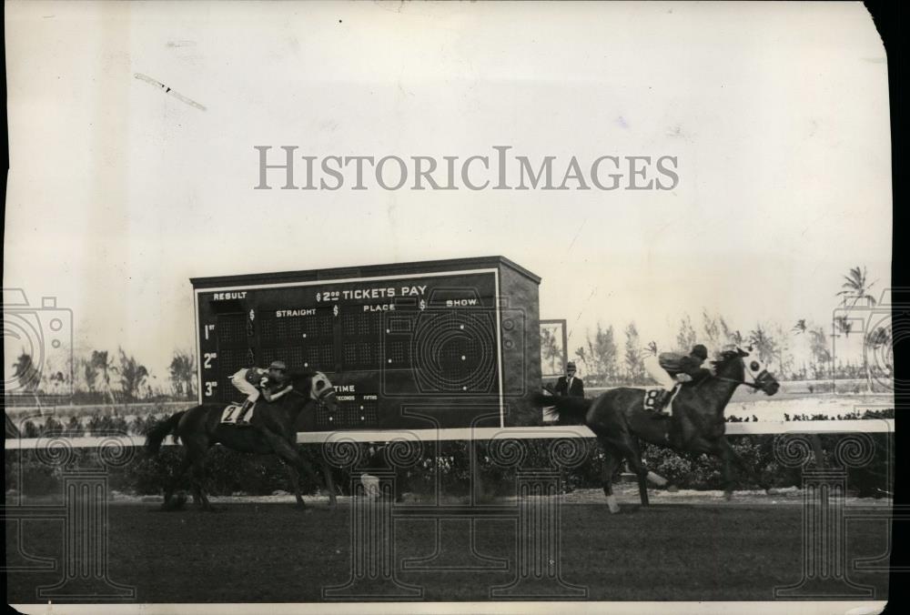 1932 Press Photo Single Star wins fourth race at Hialeah Park in Miami, FL - Historic Images