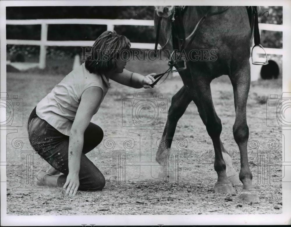 1964 Press Photo Joanne Navratil with horse Miss Cindy at Park View Stable - Historic Images