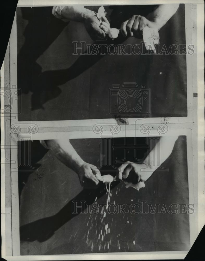 1930 Press Photo Milk Curd Squeezing Through Cheesecloth - nef13790 - Historic Images