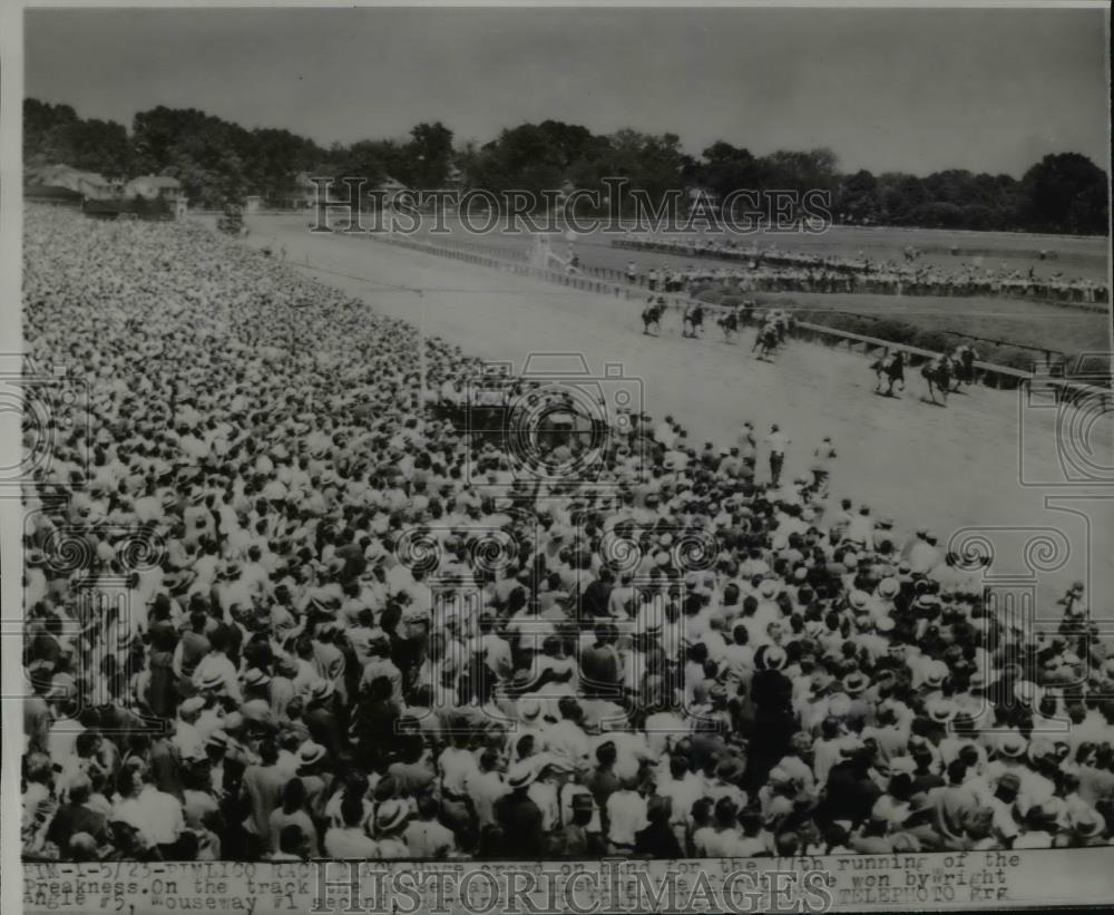 1953 Press Photo Crowds at Pimlico track see Wright Angle win Preakness - Historic Images