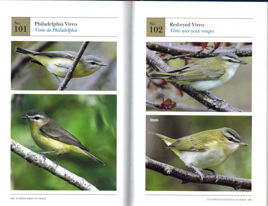 Signed Limited Edition: Summer Birds of Percé/Les Oiseaux Estivants de Percé