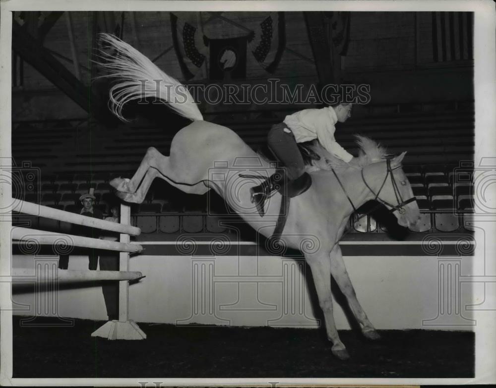 1947 Press Photo "Lord Hamilton" Ridden by Joseph Shortino at Chicago horse Show - Historic Images