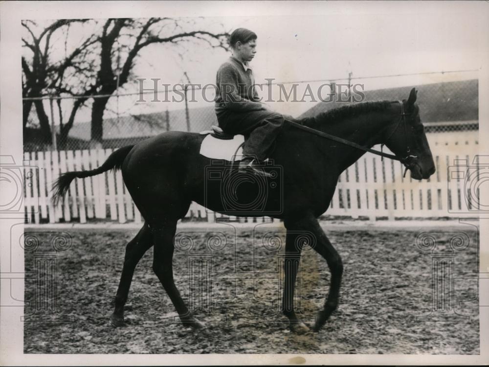 1936 Press Photo Higher Cloud, owned by Mrs. E. Denemark, derby hopeful - Historic Images