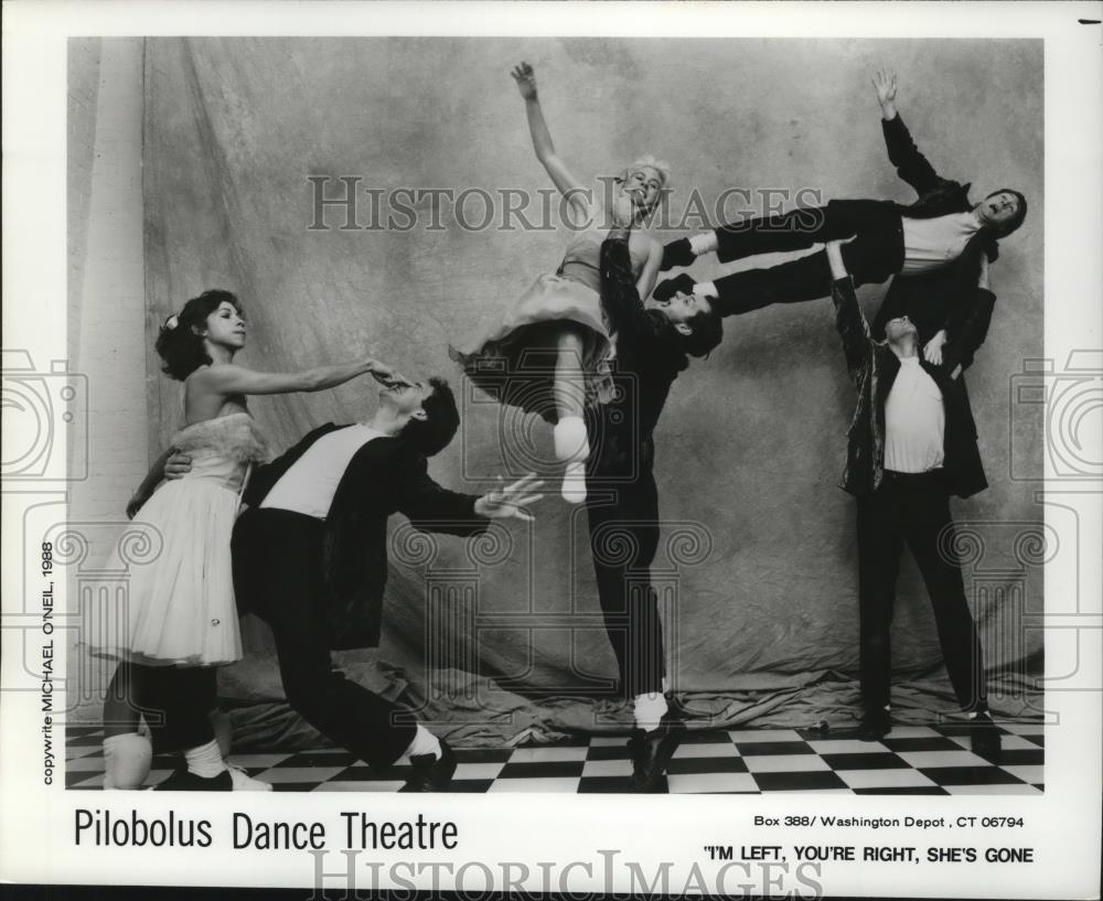 1988 Press Photo Dance Groups-Pilobolus Dance Theatre. - cvb78436 - Historic Images