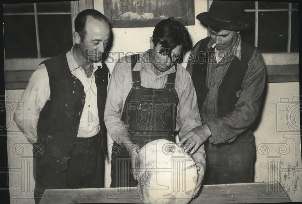 1940 Press Photo Puff ball found near Camp Gerome Columbia Basin Project - Historic Images