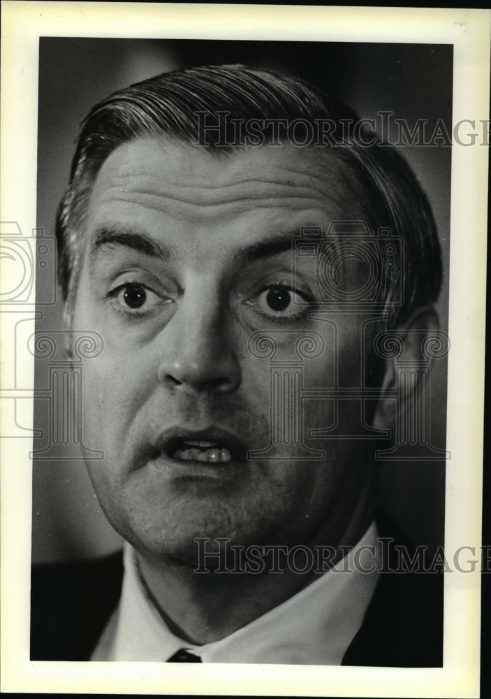 1979 Press Photo Vice President-Walter Mondale - cva33646 - Historic Images