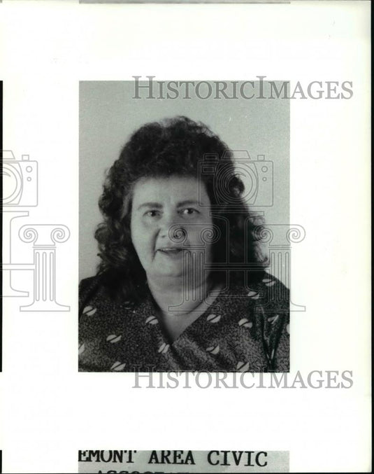 1991 Press Photo Donna A. Peters - cva38387 - Historic Images