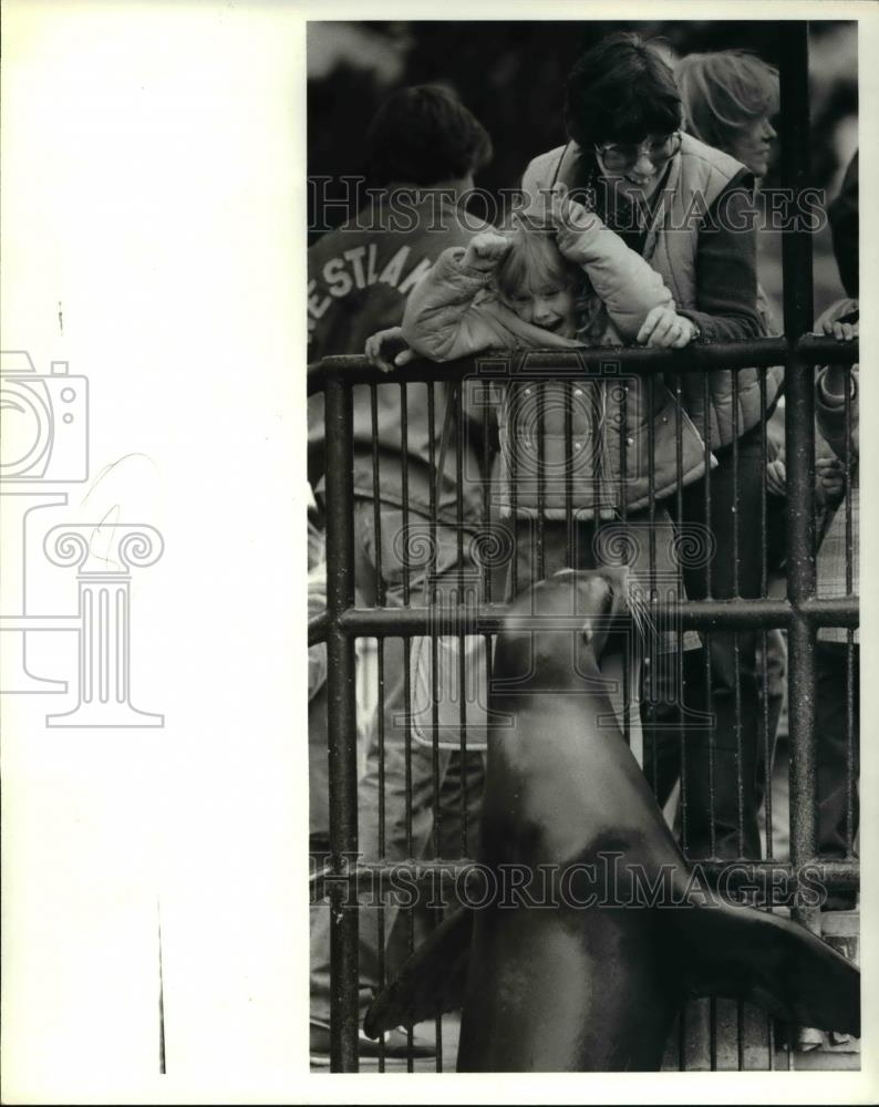 1981 Press Photo Youngsters feed the seal at the Cleveland Zoo - cva38881 - Historic Images