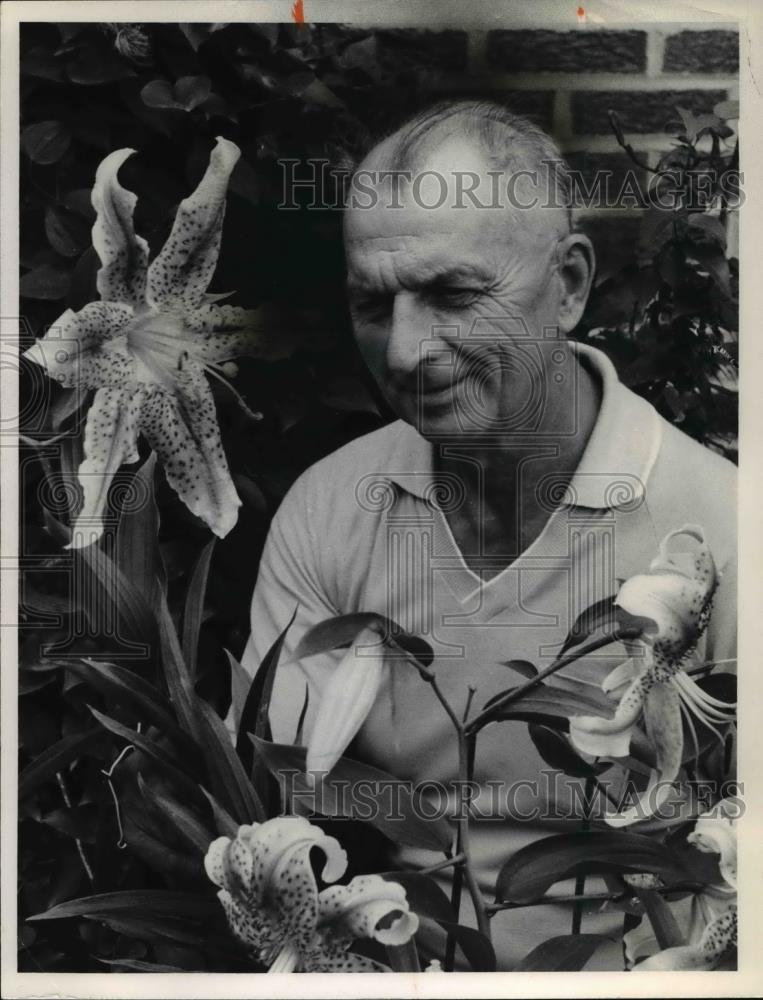 1977 Press Photo Charles Pocta with his Imperial crimson lily - cva38900 - Historic Images