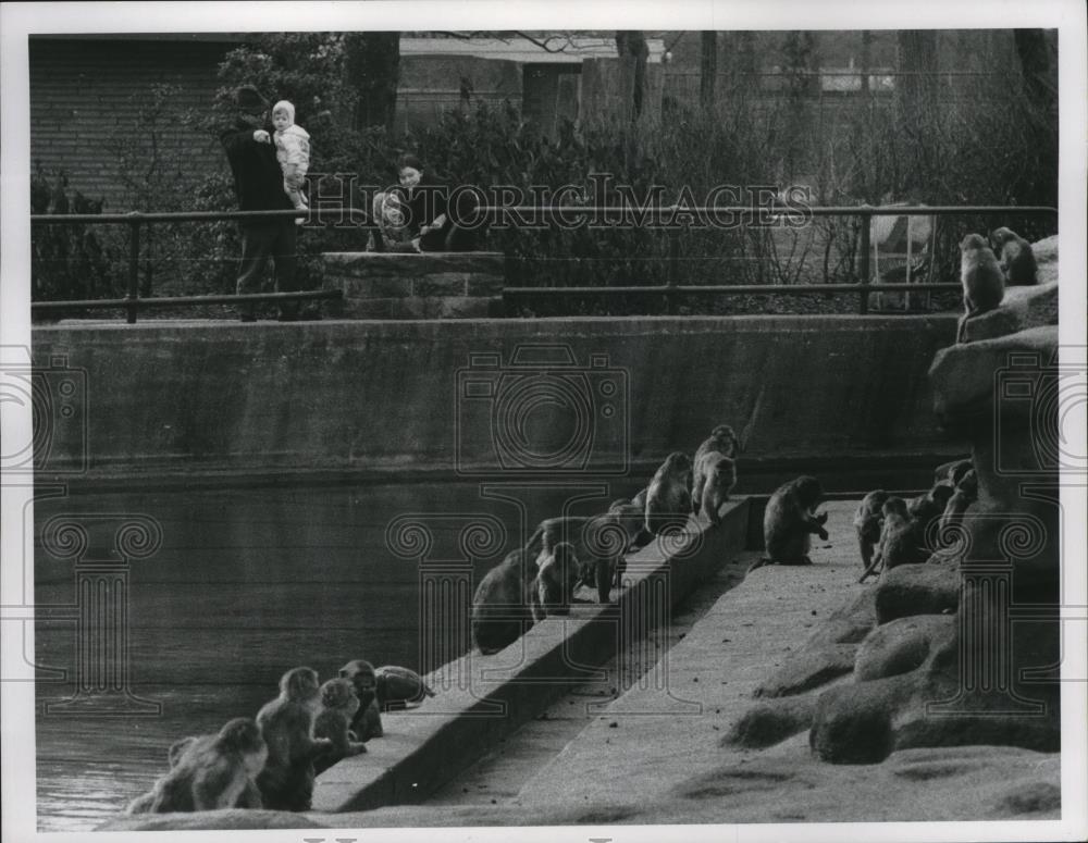 1968 Press Photo Robert Anderson with wife and two kids at Brookseke Zoo. - Historic Images