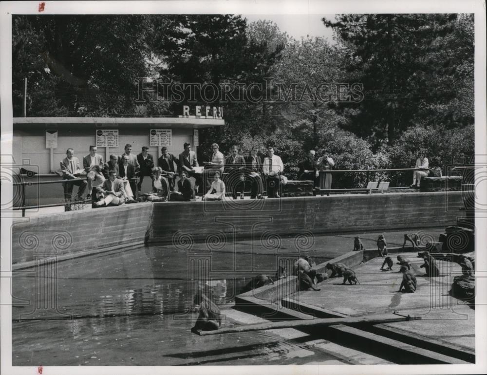 1961 Press Photo Hiram College students observe Monkey Island at the Zoo. - Historic Images