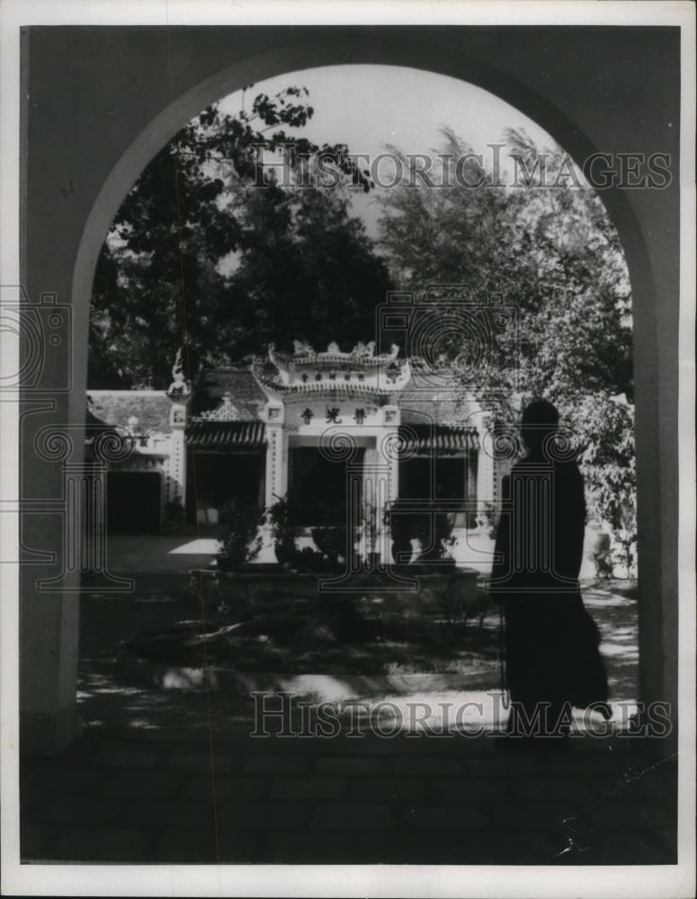 1967 Press Photo Monk in Saigon Garden - cvb76723 - Historic Images