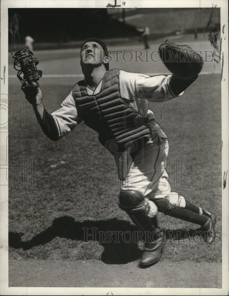 1936 Press Photo Billy Sullivan, catcher. - cvb76838 - Historic Images
