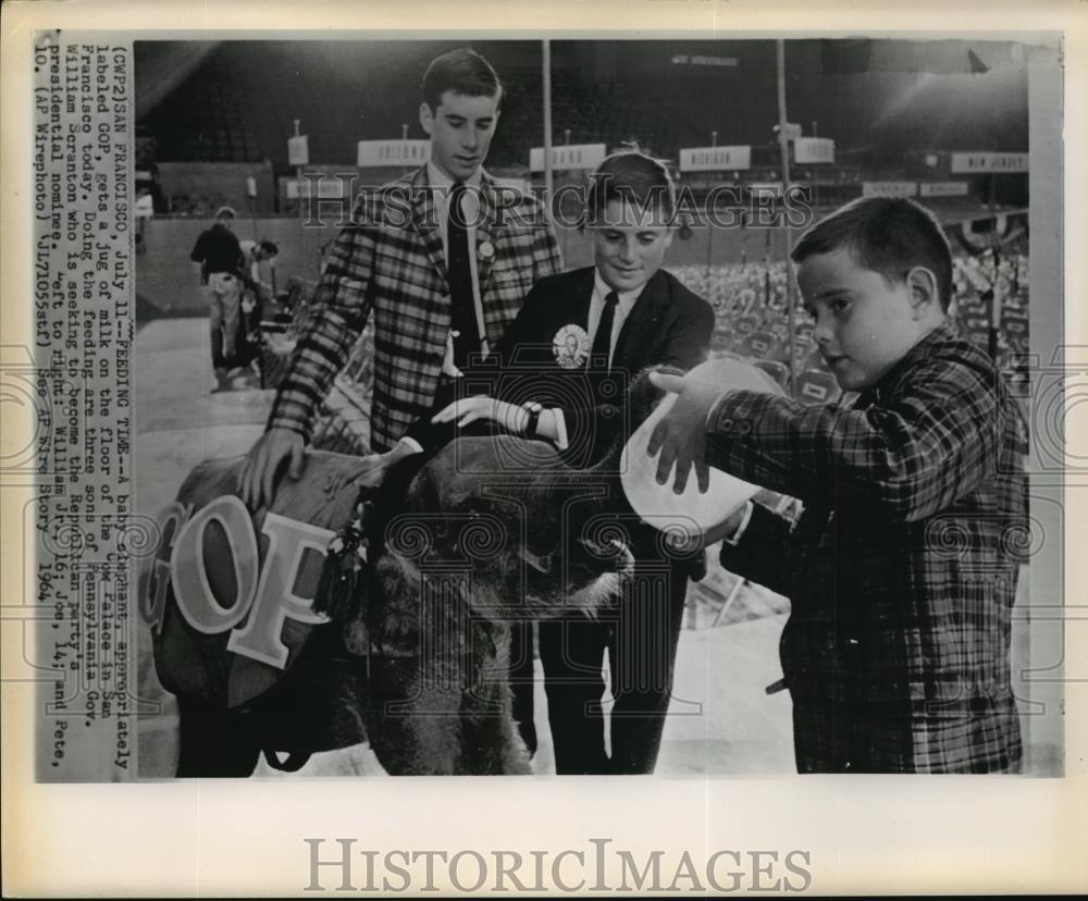 1964 Wire Photo Governor William Scranton&#39;s sons feed the GOP labeled elephant - Historic Images