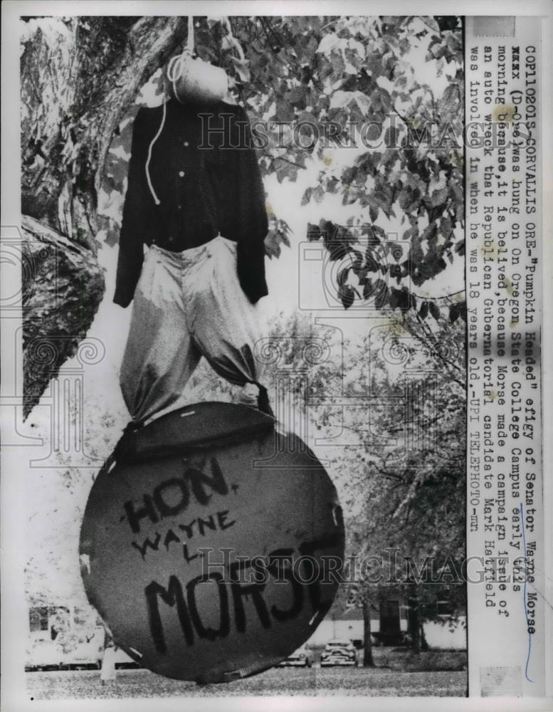 1958 Press Photo Senator Wayne Morse Pumpkin-Head Effigy at Oregon State College - Historic Images