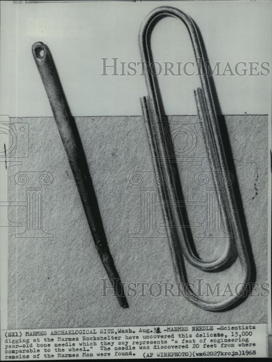 1968 Wire Photo 13,000 year old Bone needle found at Marmes Rockshelter. - Historic Images