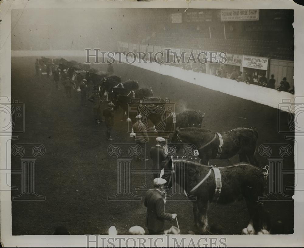 1931 Press Photo Shire hoese show at Agricultural Hall as stallions judged - Historic Images