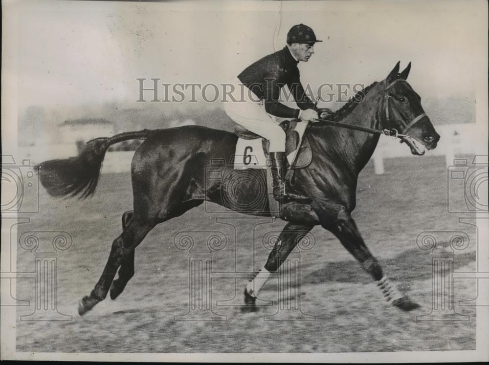 1936 Press Photo Deleneige entered in Grand National at Liverpool England - Historic Images