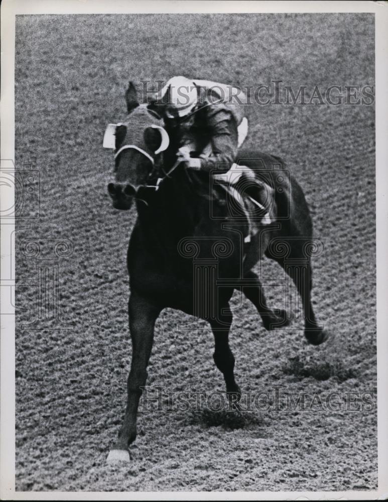 1971 Press Photo Horse Beau Erin wins 6th race at a track - net27951 - Historic Images