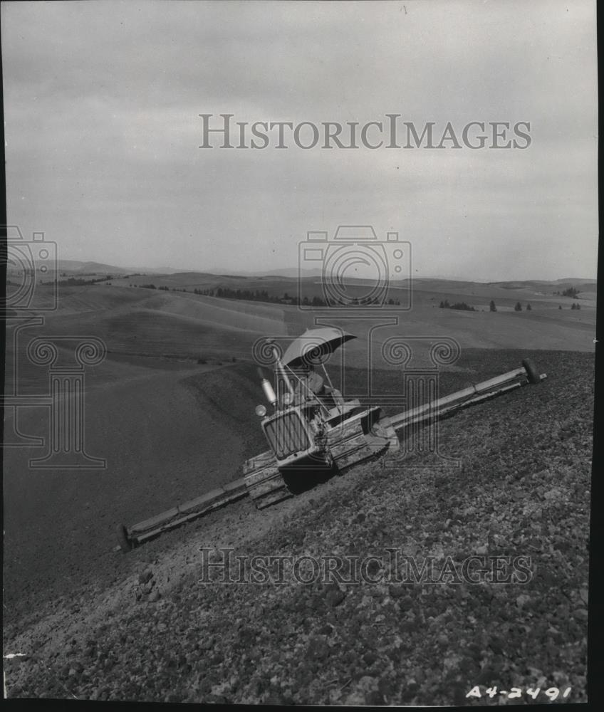 1955 Press Photo The Caterpillar Diesel D4 Tractor harrows 45 degree grades - Historic Images