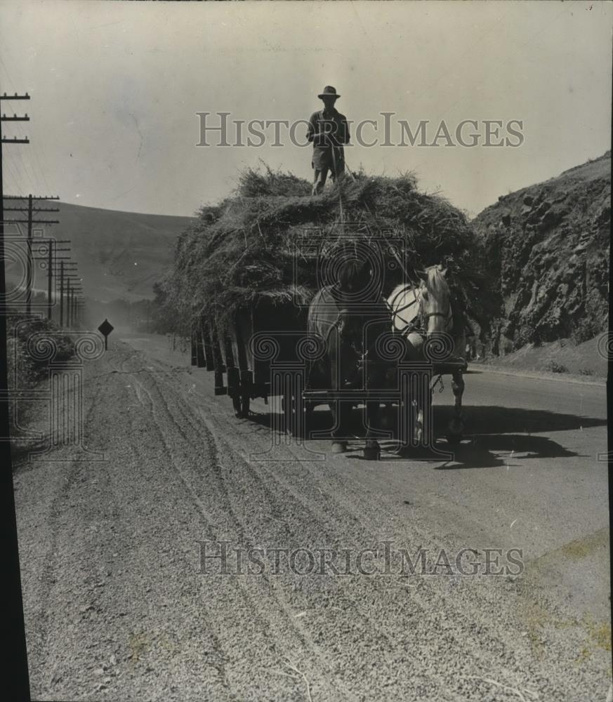 1941 Press Photo Harvesting near Waitsburg, laden horse drawn wagon - spx09456 - Historic Images