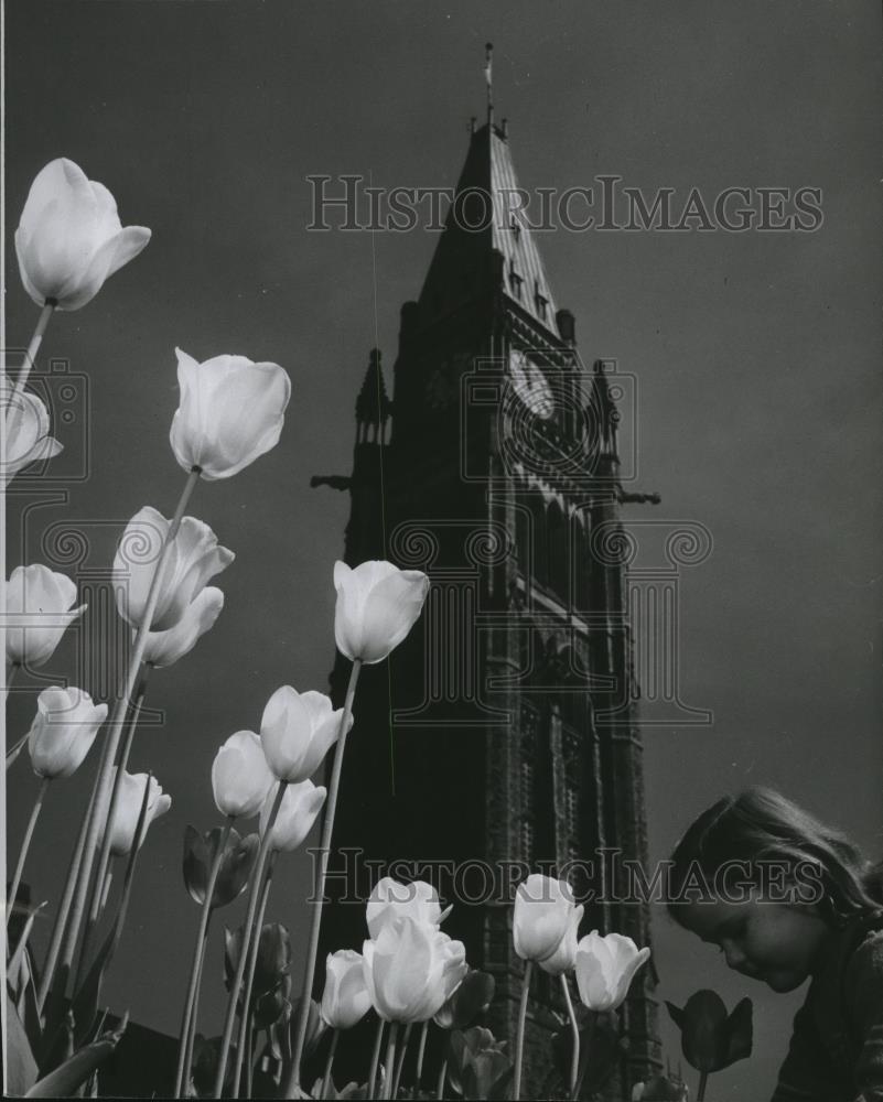 1958 Press Photo Peace Tower or Canada's Parliament Buildings in Ottawa - Historic Images