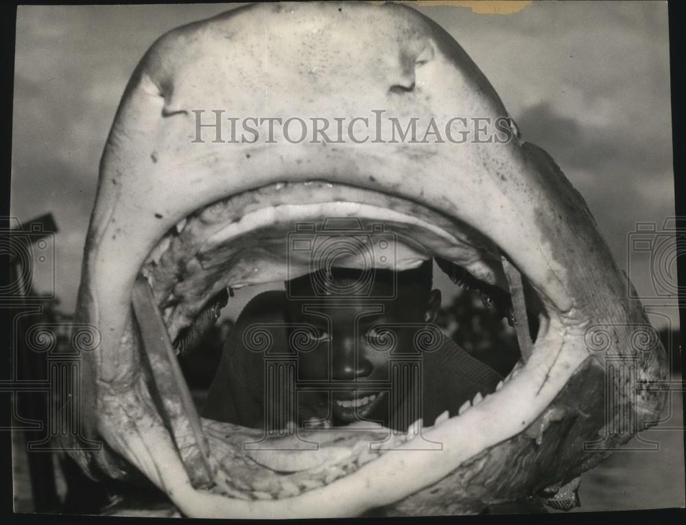 1941 Press Photo Youngster gets Jonah's eye view through head of shark - Historic Images