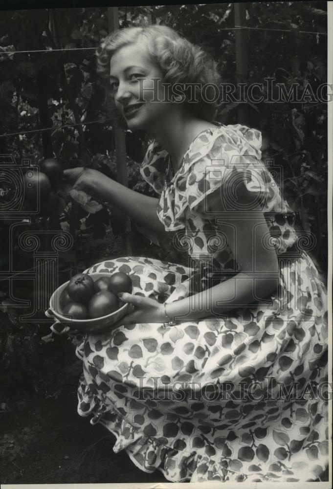 1946 Press Photo Smile Queen Donna Billingely picking tomatoes - spx10527 - Historic Images