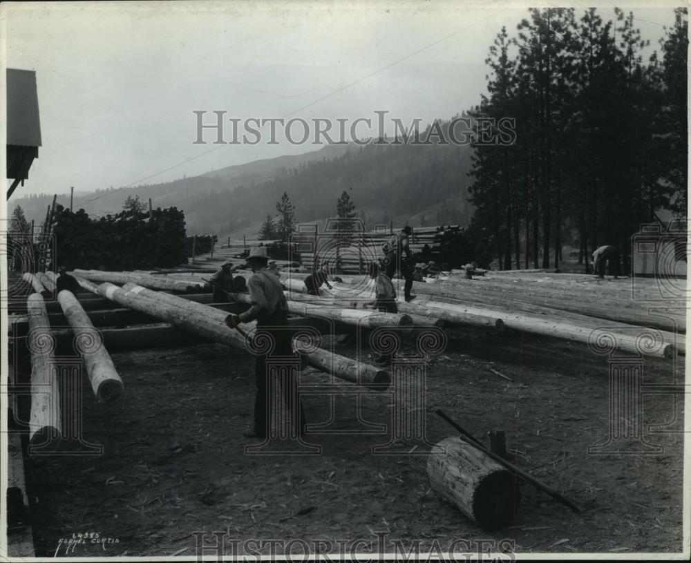 Press Photo Workers preparing cedar poles for treatment at Clearwater yard - Historic Images