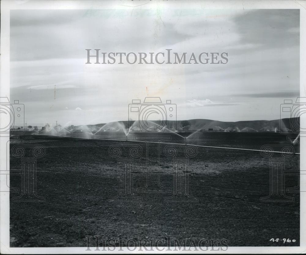 Press Photo Sprinkler type irrigation watering sugar beet and corn fields - Historic Images