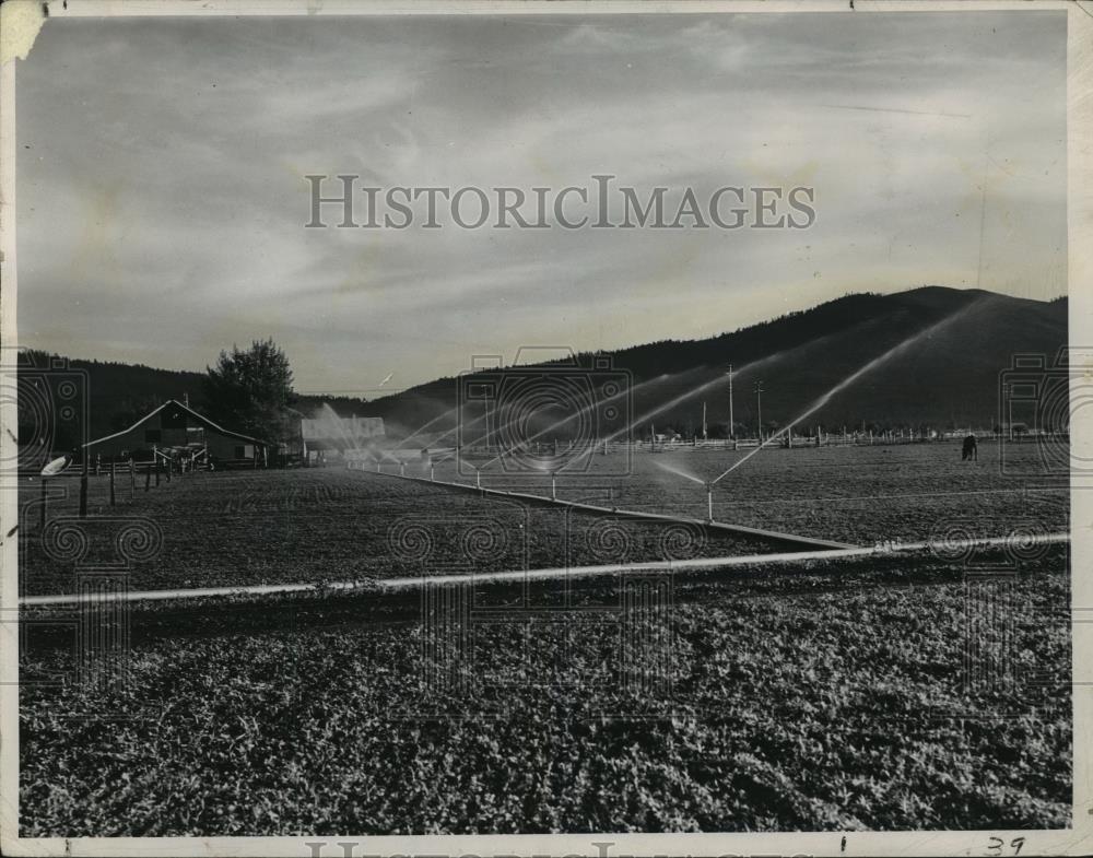 Press Photo View of sprinkler irrigation at a farm - spx11074 - Historic Images