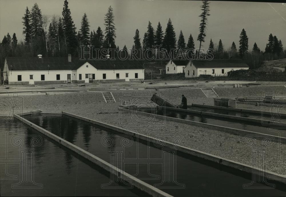 1944 Press Photo View of the Chamokane Fish Hatchery, Ford, Washington - Historic Images